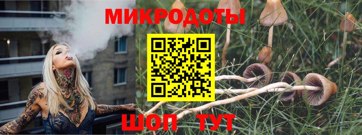 Галлюциногенные грибы прущие грибы  Вход с VPN  Псилоцибиновые грибы прущие грибы  Ревда 