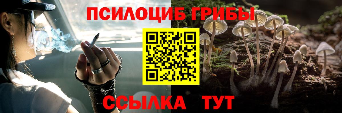 Псилоцибиновые грибы MAGIC MUSHROOMS Ревда